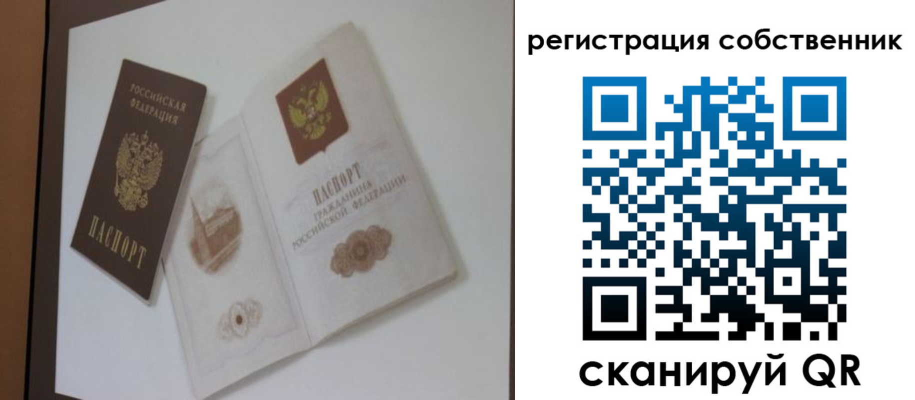 временная регистрация надежно в Гвардейске